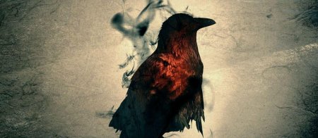 Ворона ворон