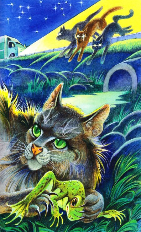 Леонид насыров коты воители