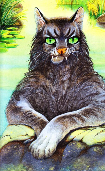 Хантер эрин \ герои племен\