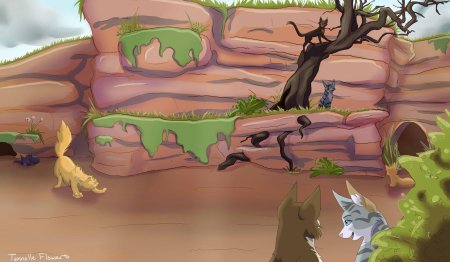 Коты воители лагерь речного племени