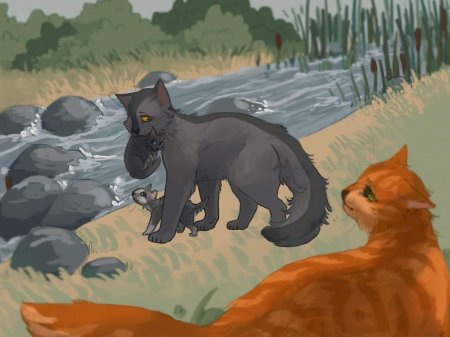 Коты воители пепелица и огнезвёзд