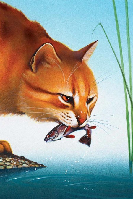 Коты воители пятнистая звезда