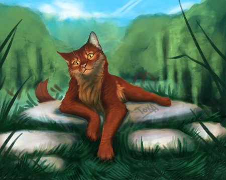 Коты воители рыжинка и рябинник