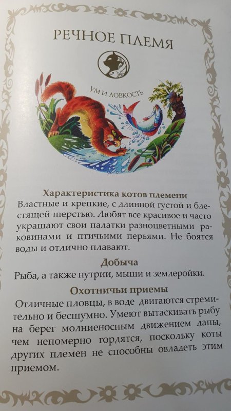 Коты воители путеводитель секреты племен