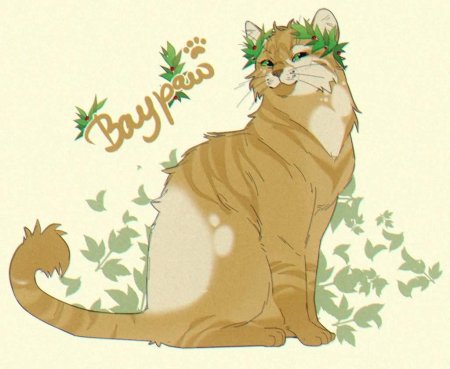 Коты воители краснохвост