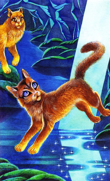 Коты воители верескоглазка