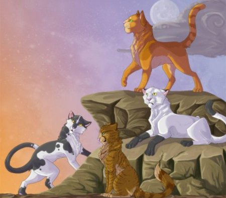 Коты воители звёздный луч и огнезвёзд