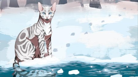 Серебрянка коты воители