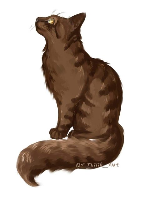 Коты воители бурый кот