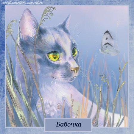 Коты воители пышноус