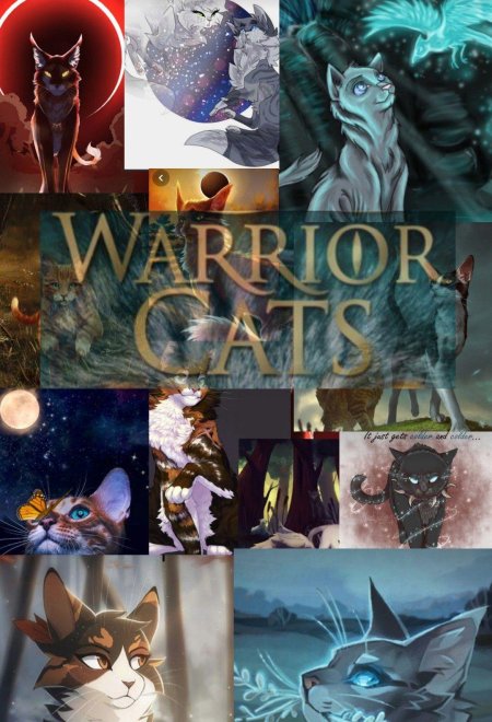 Cat warriors