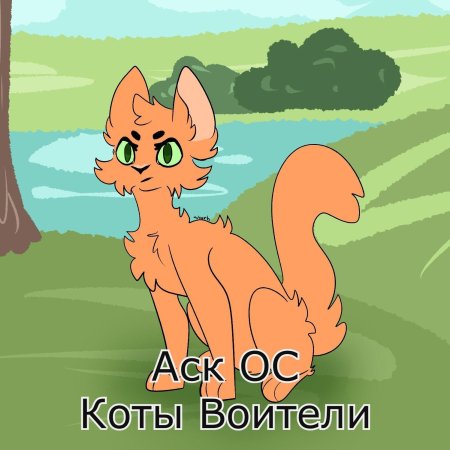 Коты воители аск