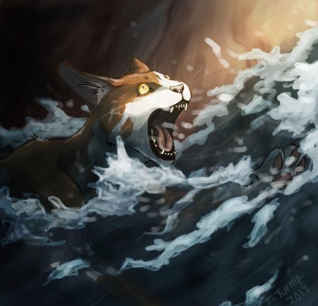 Кленовница коты воители арт