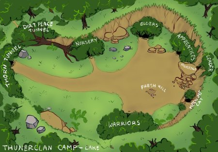 Коты воители лагерь грозового племени