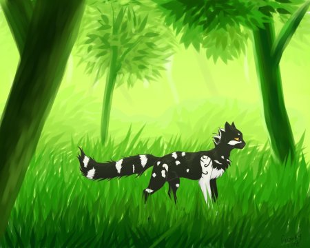 Кедрозвёзд коты воители