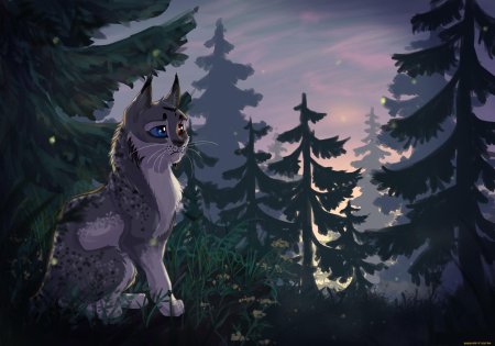 Коты воители вересковая звезда