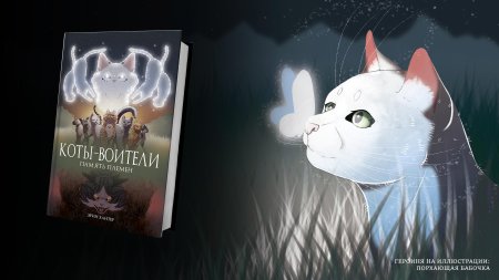 Коты-воители.память племен