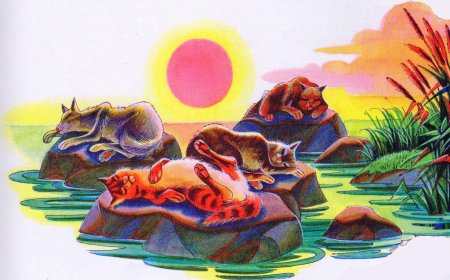 Коты воители лагерь речного племени