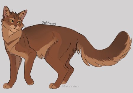 Коты воители желудь