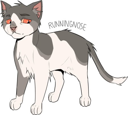 Мокроус коты воители