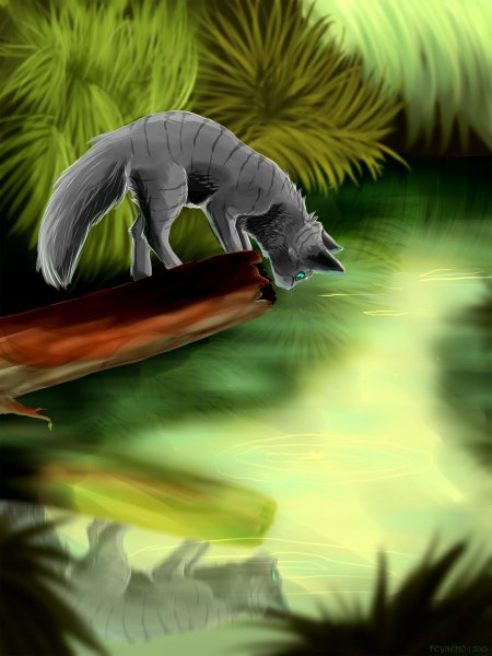 Коты воители клан ривер