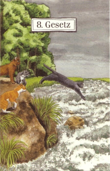 Небесное племя коты воители