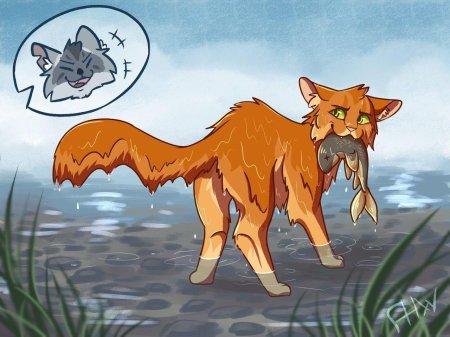 Коты воители огнезвёзд