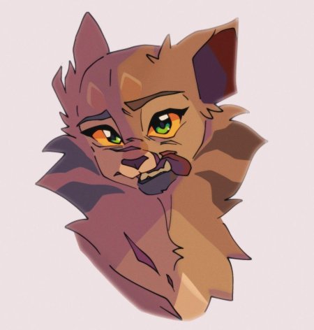 Коты воители метеор