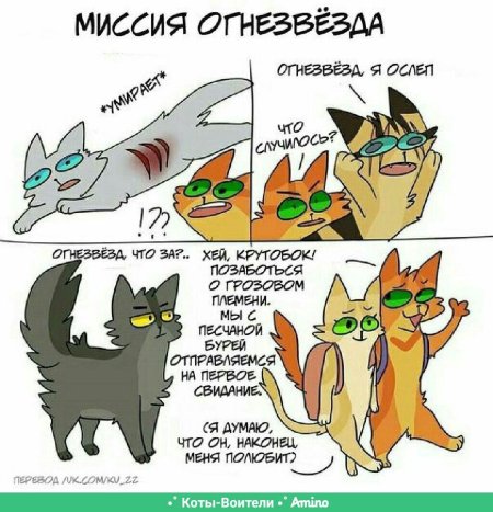 Коты воители огнезвёзд и крутобок
