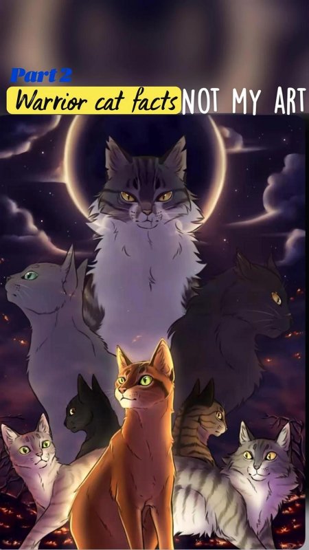 Коты воители эрин хантер