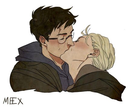 Шип гарри поттер