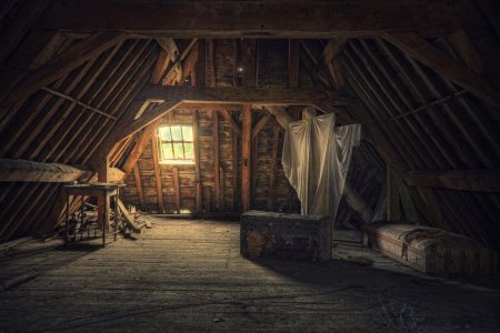 Данн кэтрин \ чердак / attic\