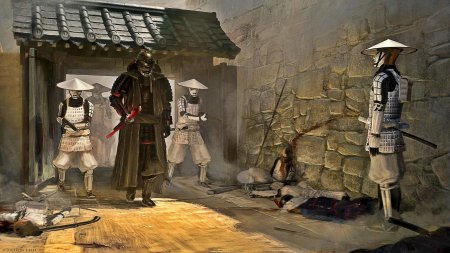 Ронин самурай вейдер