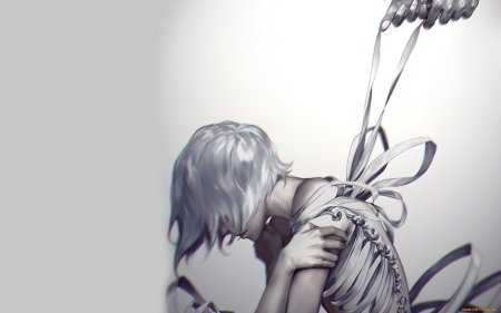 Аниме спина