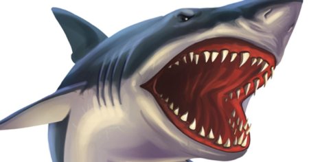 Акула с открытой пастью рисунок