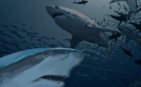 Мегалодон арт