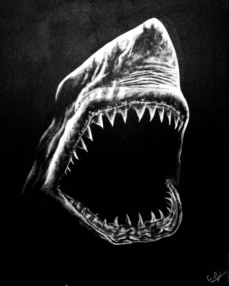 Пасть акулы