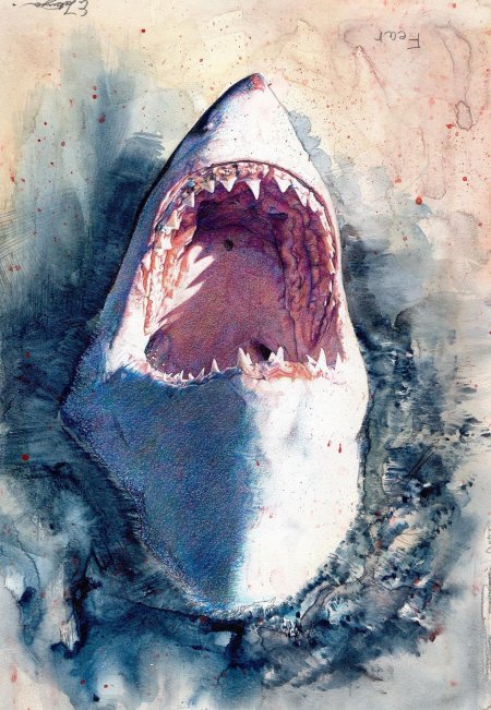 Пасть акулы