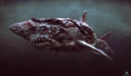 Пираты карибского моря акулы салазара