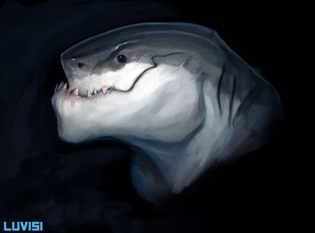 Монстр акула