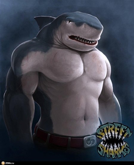 Акула качок