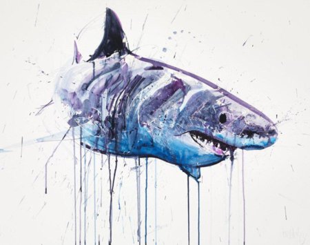 Акула картина