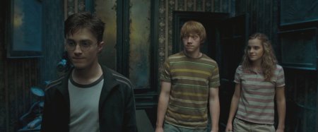 Гарри поттер и орден феникса рон и гермиона