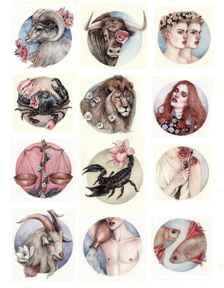 Знаки зодиака пинтерест