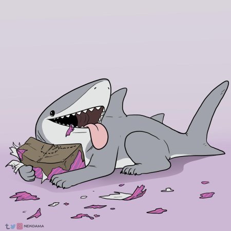 Акула акула