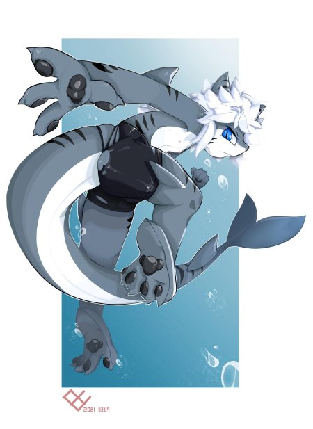 Тигровая акула фурри