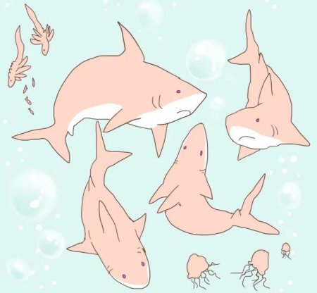 Милые акулки