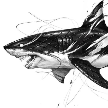 Тату акула эскиз