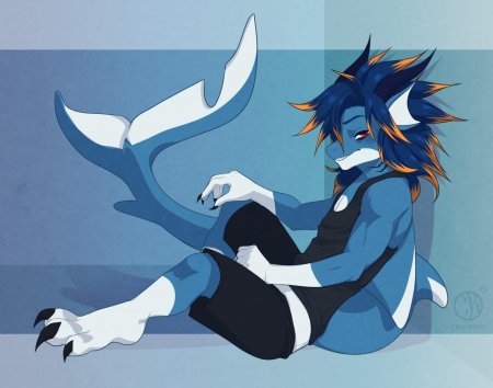 Фурри акула