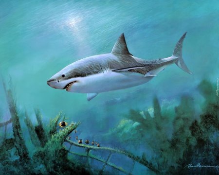Акула мегалодон арт